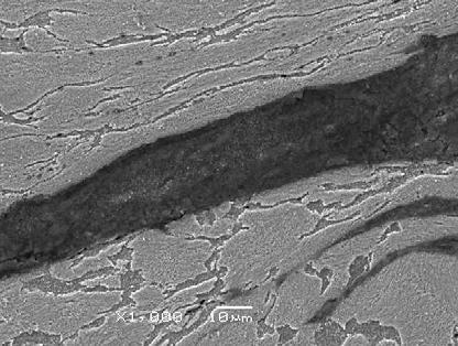 2] Steel microstructure tests were carried out using a scanning electron microscope.