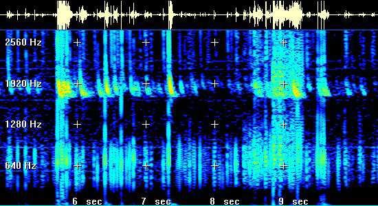 Rys. 4.1. Ćwierkanie (ang. tweeks) Rys. 4.2. Gwizdy atmosferyczne (ang. whistler) Ich cechą charakterystyczną jest trwający stosunkowo długo gwiżdżący ton o obniżającej się częstotliwości.