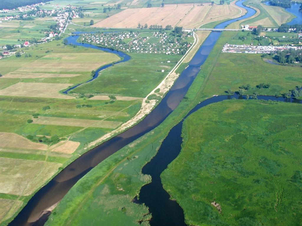 zły projekt regulacji koryta Nidy spowodował powstanie wielkich (nienaturalnych),