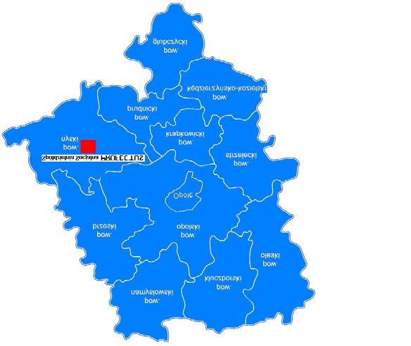 12 PODMIOTY EKONOMII SPOŁECZNEJ W WOJEWÓDZTWIE OPOLSKIM DOBRE PRAKTYKI Wielobranżowa Spółdzielnia Socjalna PROFECTUS w Nysie Nazwa podmiotu: Wielobranżowa Spółdzielnia Socjalna PROFECTUS Adres: ul. B.