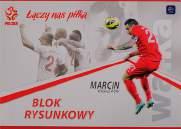 Grzegorz Krychowiak szary + Super