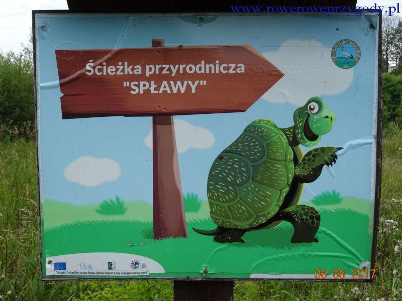 Zdjęcie nr 7 Jeden z przystanków tematycznych na Ścieżce przyrodniczej Spławy. Zdjęcie nr 8 Jezioro Łukie ostatni przystanek tematyczny na ścieżce przyrodniczej Spławy.
