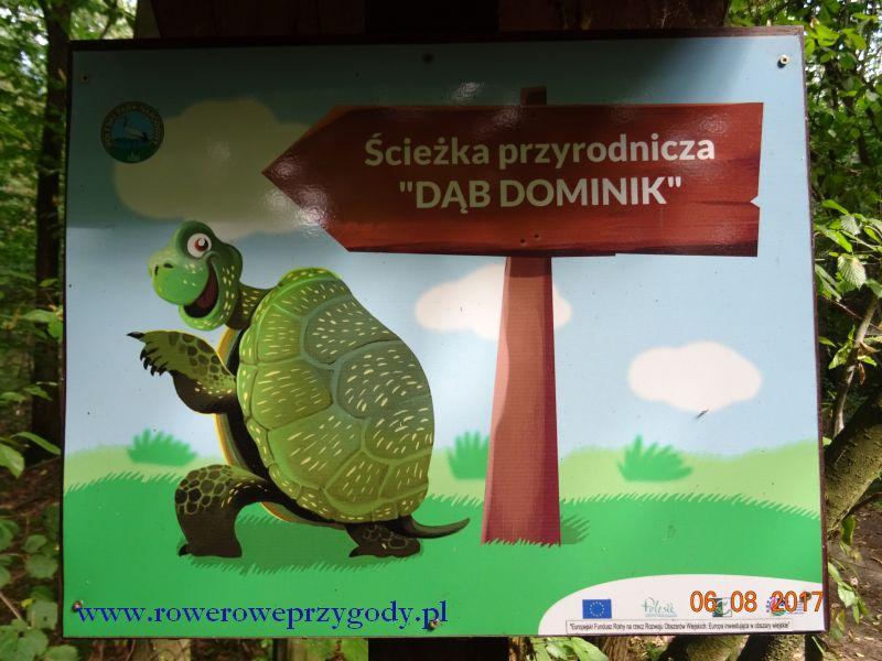Ścieżka przyrodnicza Dąb Dominik - rozpoczyna się w miejscowości Łomnica, długość podstawowej trasy ścieżki wynosi 2,5 km, a jej dłuższy wariant 3,5 km.