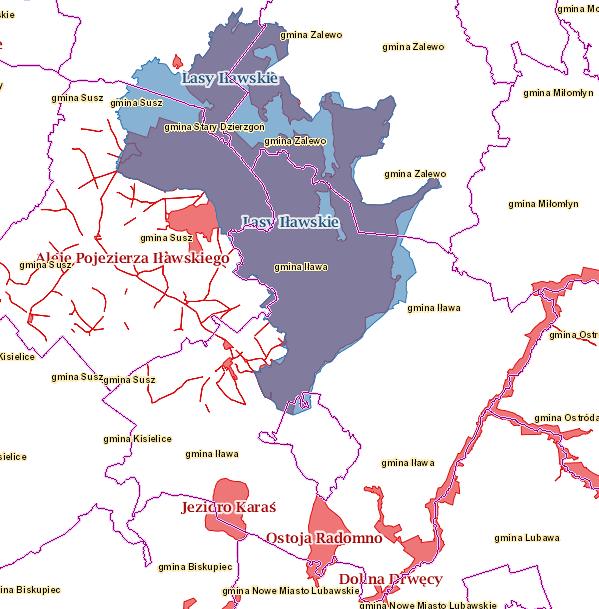 Źródło: http://geoserwis.gdos.gov.pl/mapy/ Rys. 14 Lokalizacja obszarów NATURA 2000 w odniesieniu do terenu gminy Iława. Obszar Specjalnej Ochrony Ptaków Lasy Iławskie (kod PLB28005).