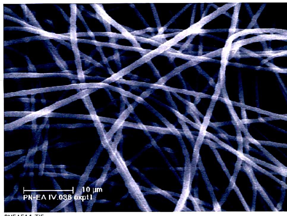 Biodegradowaly polifosfaze H CEt EtC H 2 -H H CEt H 2 EtH H 2 CH H 3 4 H