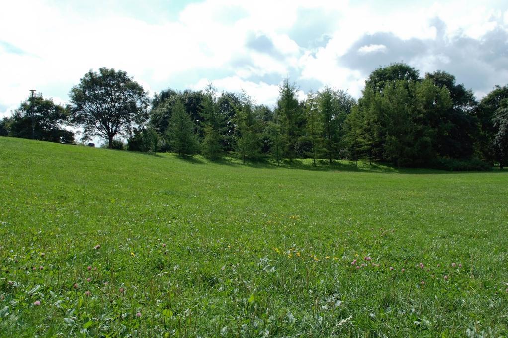 ZWIERZĘTA