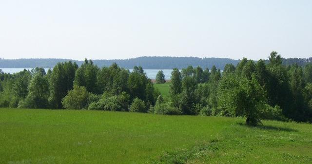 Badania społeczne jakościowe