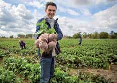 134, e.lipinski@rijkzwaan.