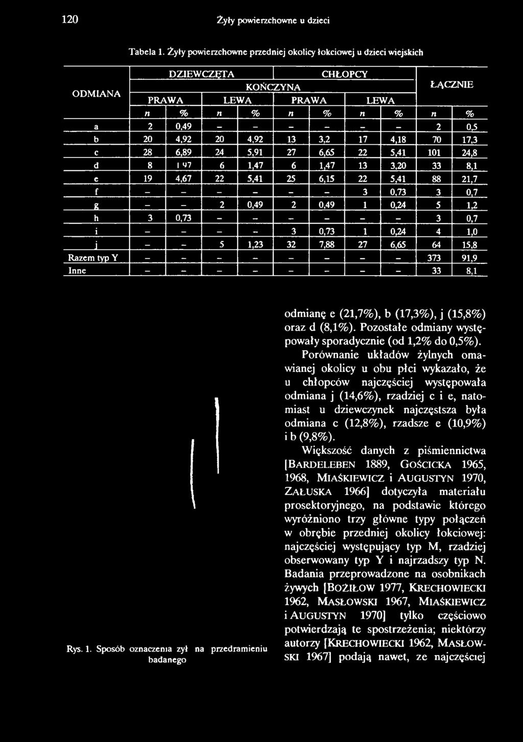 1,23 32 7,88 27 6,65 64 15,8 Razem typ Y - - - - - - _ - 373 91,9 Inne - - - - - - - - 33 8,1 odmianę e (21,7%), b (17,3%), j (15,8%) oraz d (8,1%).