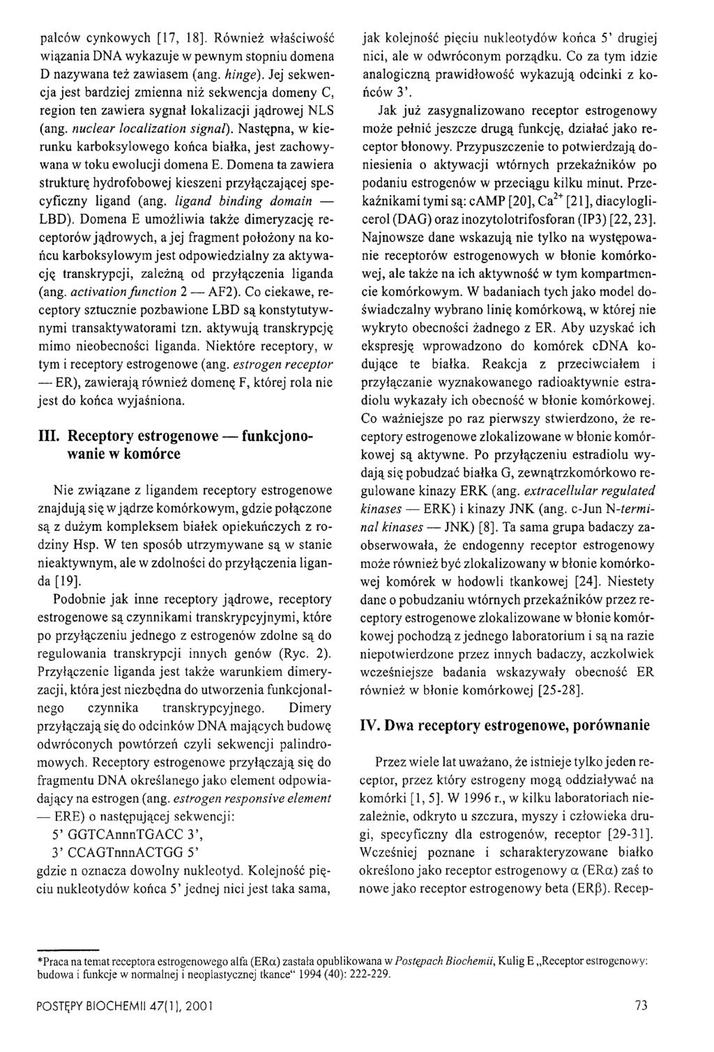 palców cynkowych [17, 18]. Również właściwość wiązania DNA wykazuje w pewnym stopniu domena D nazywana też zawiasem (ang. hinge).
