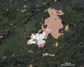 th cf th 0 µm 0 µm kach występuje w dużej ilości zróżnicowana
