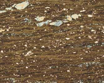 Zależność między występowaniem minerałów kruszcowych a charakterystyką geochemiczną materii organicznej... 21 Fig. 8.