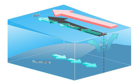 Warunki normalne - termoklina Wiatry wschodnie i upwelling zmieniają profil temperaturowy wód Pacyfiku.