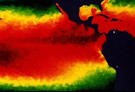 Warunki El Niño - upwelling Podniesienie temperatury powierzchniowej oceanu w centralnej i