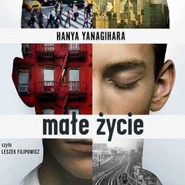 KM/209 Yanagihara Hanya /