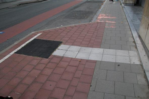 Innym przykładem jest prowadzenie za pomocą specjalnych szyn zamontowanych w nawierzchni, kontrastujących z nawierzchnią chodnika (na zdjęciu poprowadzenie wzdłuż krawędzi