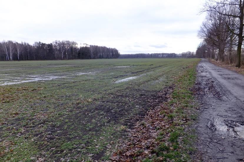 Fot. 1 Widok w kierunku południowym na teren objęty opracowaniem