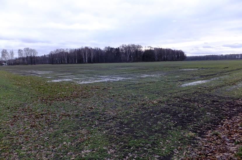 2 Widok w kierunku północno-wschodnim, widoczny las Bór (jedynie