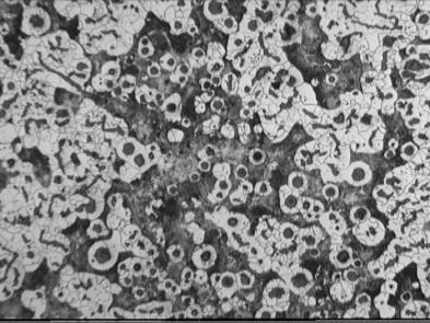 160 a) b) Rys. 1. Mikrostruktura w odlewach prętów o średnicy: a) 3,2 cm, b) 8,0 cm; Fig. 1. Microstructure of the vermicular cast iron in the bar castings Rys.