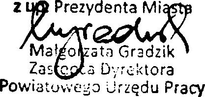 a także czy Wykonawca jest wpisany do Rejestru Instytucji Szkoleniowych prowadzonego przez Wojewódzki Urząd Pracy właściwy ze względu na siedzibę Wykonawcy.