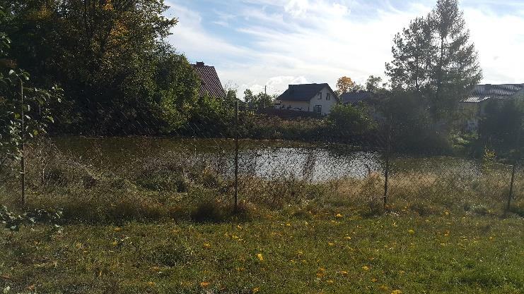 zieleń wymagająca urządzenia, brak elementów małej architektury ławki, kosze na śmieci, zieleń urządzona/kwiaty, nasadzenia zielone, itp.