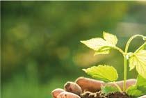 ECO by