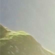 78 79