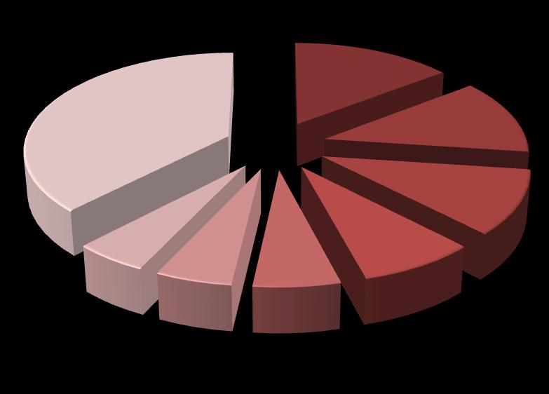 VI. Struktura akcjonariatu ze wskazaniem akcjonariuszy posiadających co najmniej 5% głosów na walnym zgromadzeniu Na dzień sporządzenia raportu struktura akcjonariatu przedstawia się następująco: