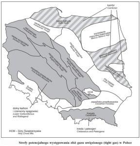 Większość zasobów gazu ziemnego związana jest z osadami miocenu zapadliska przedkarpackiego (Pogórze Karpackie) oraz permu na Niżu Polskim.