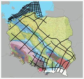 kilkudziesięciu lat (rys. 11A).