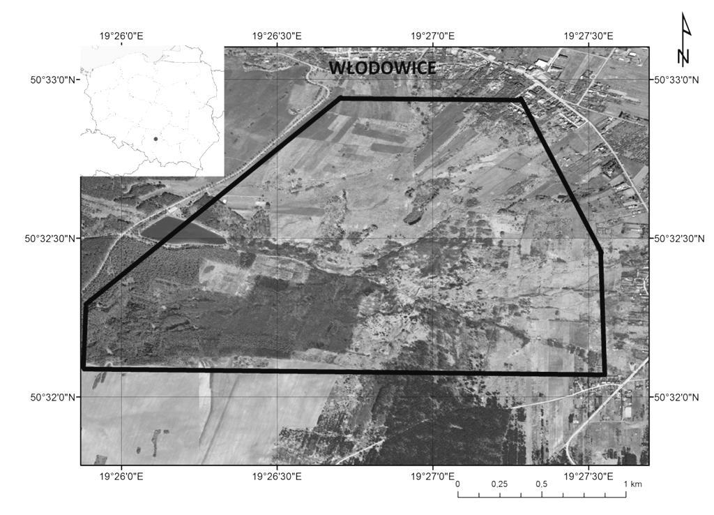 Ryc.1. Położenie obszaru badań. (źródło: opracowanie własne na podstawie ortofotomapy) Fig.1. Location of the study area.