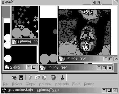 Opis reprezentacji programowej, realizującej dekompozycję kształtu obiektów na obrazie z gradacją szarości Opisany algorytm zastosowano w aplikacji programowej, pracującej w środowisku Windows 95/98.