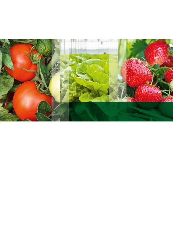 Naturalne odżywienie Fertiplus 4-3-3 + mikroelementy profesjonalny nawóz organiczny na bazie obornika kurzego Nawóz przeznaczony jest pod: rośliny uprawne: ziemniaki, kukurydzę, tabakę, buraki,