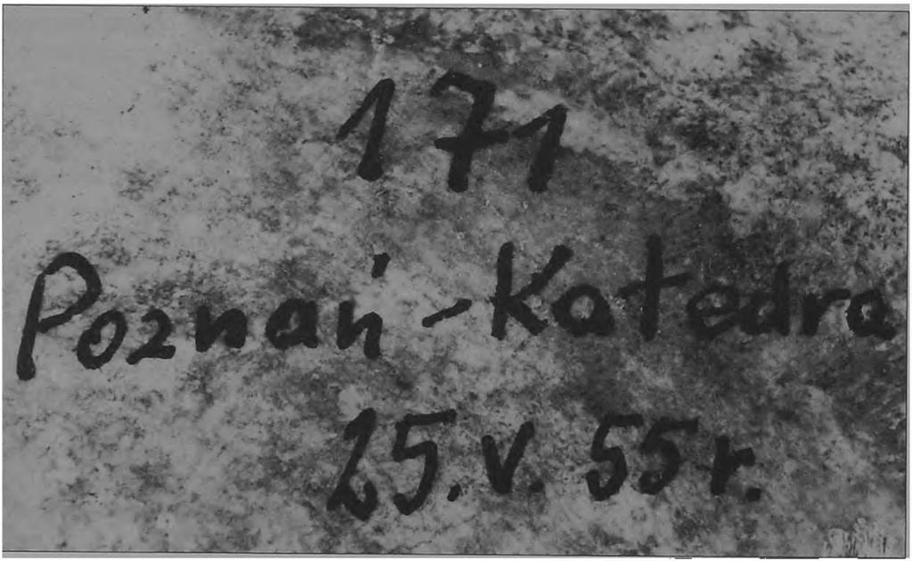 opisana (fot. M.
