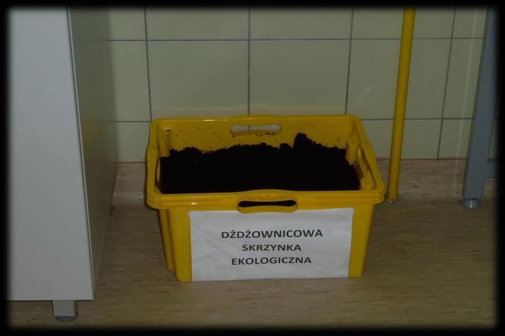 DŻDŻOWNICOWE SKRZYNKI EKOLOGICZNE Nadrzędnym
