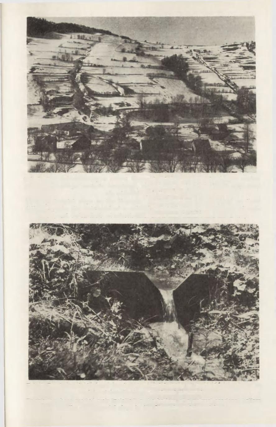 Fot. 5.