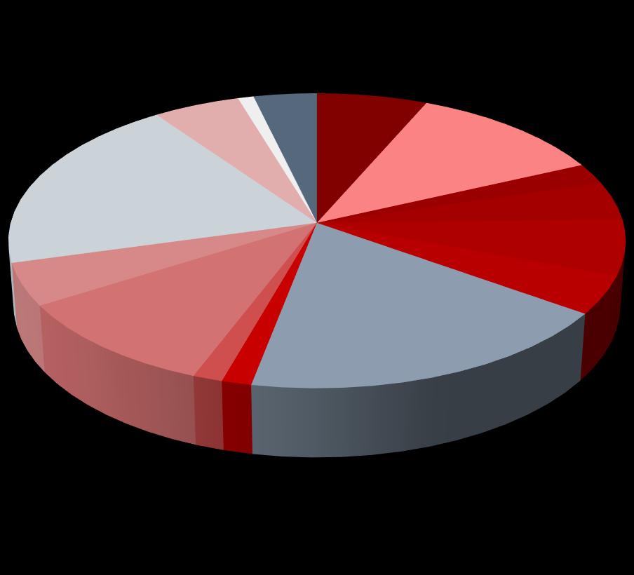 Partnerzy i uczestnicy akcji Struktura uczestników Kierunki przyjazdu uczestników akcji (%) Osoby przyjeżdżające z zagranicy stanowiły 3,7% ogółu uczestników przyjezdnych, a więc o ponad 3,3 pkt.