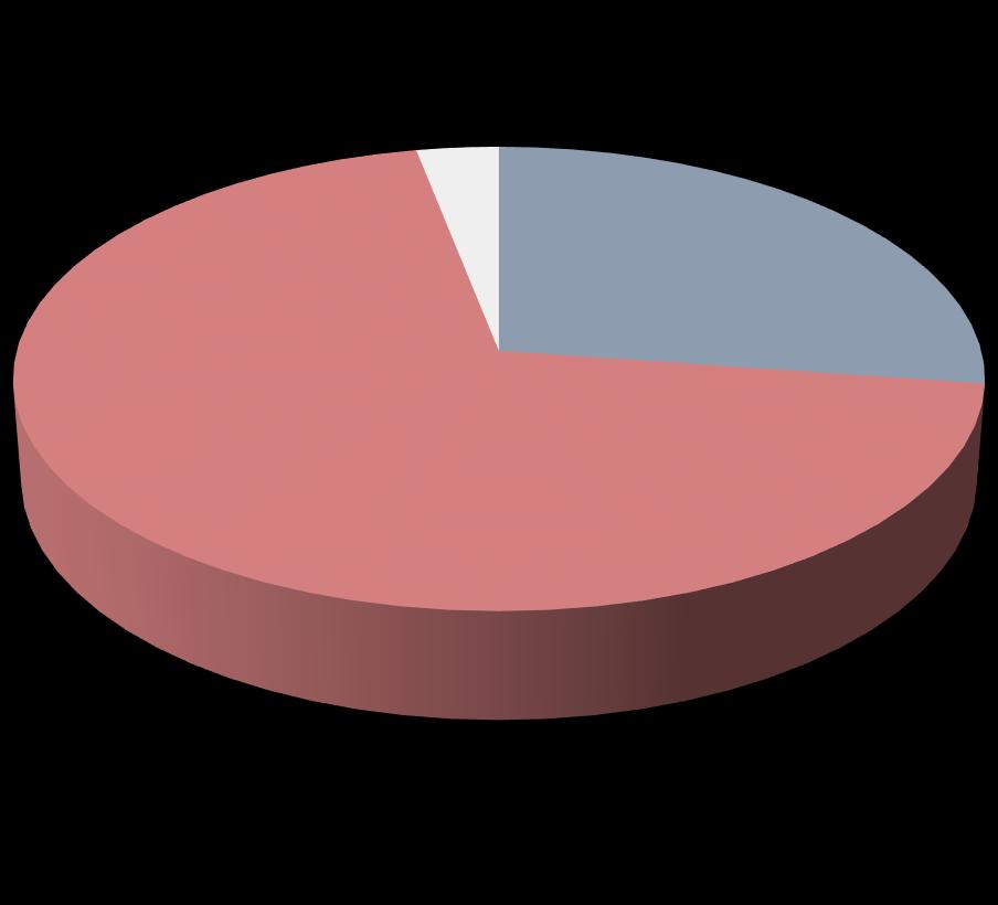 Partnerzy i uczestnicy akcji Struktura uczestników Udział w zeszłorocznej edycji akcji (%) 27,3% wszystkich uczestników tegorocznej edycji akcji