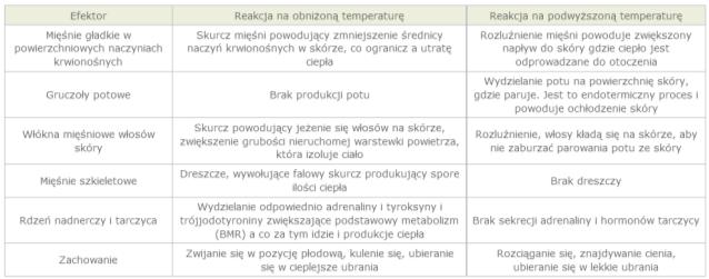 Termodetektory (termowrażliwe neurony) Reagują na miejscowe zmiany temperatury krwi przepływającej do mózgu Zwiększają częstotliwość wyładowań i przekazując informacje do ośrodka termoregulacji