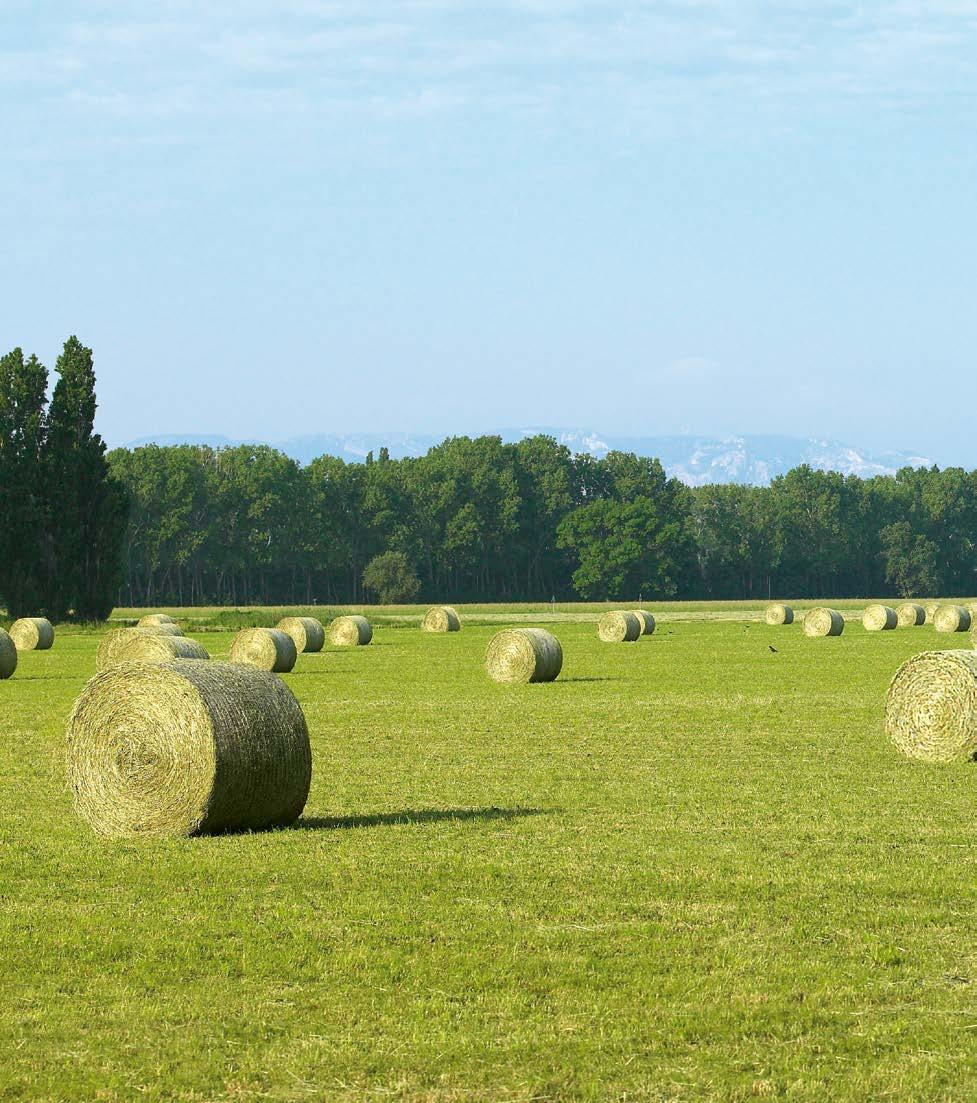 Tylko będąc gotowym na wszystko, można wszystko osiągnąć. Świat CLAAS Świat CLAAS. Praca nie czeka. Trzeba ją wykonać, uporać się z nią, a czasami nawet powalczyć.