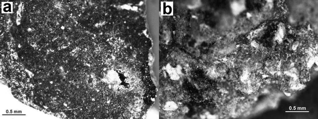 171 Rys. 2. Obraz mikroskopowy ziarna po kalcynacji w temperaturze: a 600 C, b 900 C Fig. 2. Microscopic picture of MBM grain after calcination at temperature: a 600 C, b 900 C Na podstawie obserwacji popiołu pod mikroskopem optycznym (rys.