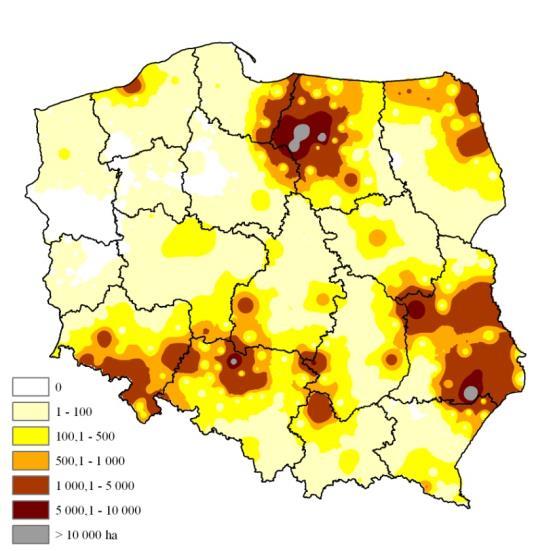 143 Rycina 2. Sumaryczna powierzchnia drzewostanów w wieku powyżej 20 lat, w których stwierdzono szkody spowodowane przez śnieg i lód w latach 2004-2010 (dla nadleśnictw) Rycina 3.