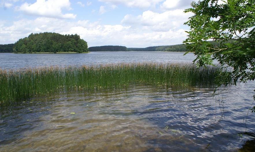 BRODNICKI PARK KRAJOBRAZOWY Na terenie Parku znajduje się ponad 40 jezior.