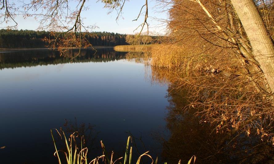 Brodnicki Park Krajobrazowy,