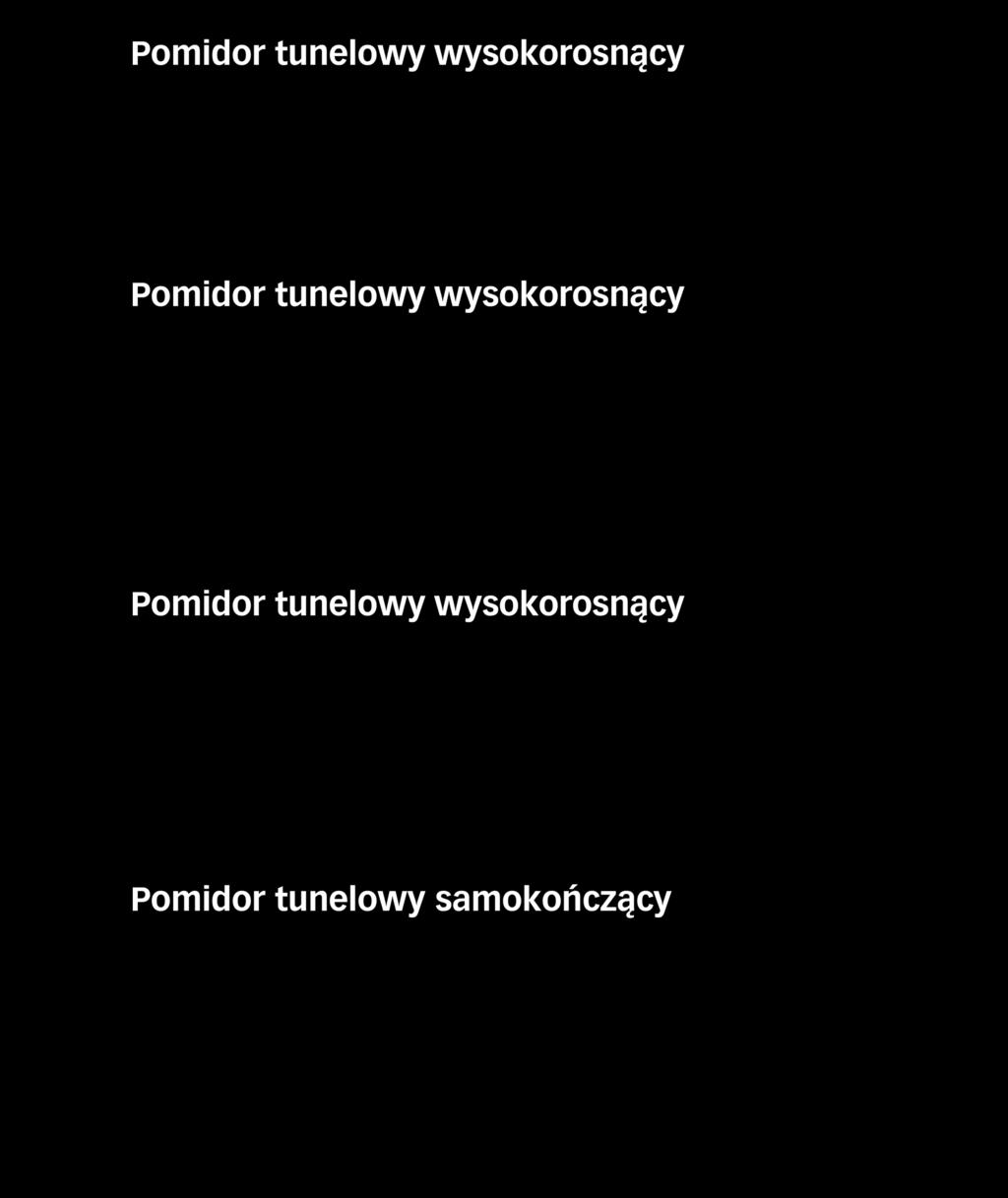 SWANSON F1 JURY F1 Pomidor tunelowy wysokorosnący 06 EROPHILY F1 MATIAS