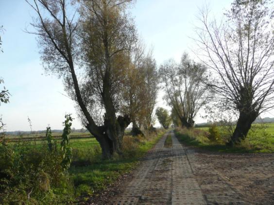 Droga nr 46 lokalizacja/ przebieg: Bągart pola (droga równoległa do drogi Bągart-PGR Bągart Tzw. droga tartaczna Dane ogólne Zarząd drogi Nr GPS Długość/Nawierzchnia Gmina Dzierzgoń p.