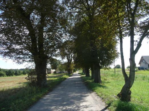 Droga nr 02 lokalizacja/ przebieg: Stanówko-kier. S kol. Stanówko Dane ogólne Zarząd drogi Nr GPS Długość/Nawierzchnia Gmina Dzierzgoń p.