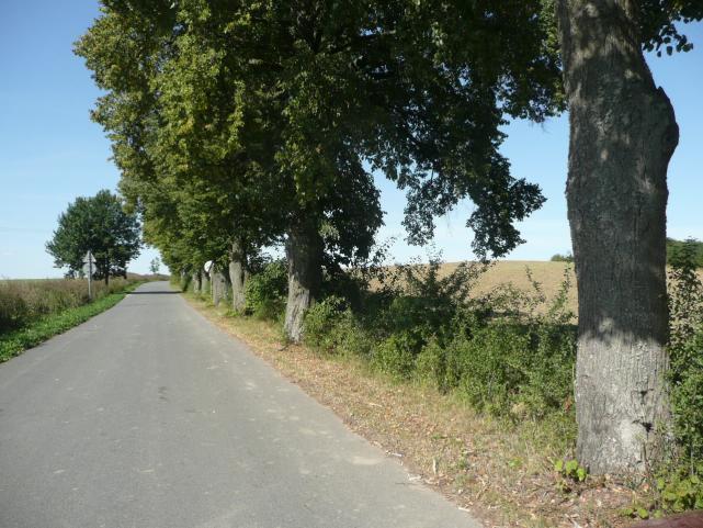 Droga nr 04 lokalizacja/ przebieg: skrz. PGR Stanowo - Morany Dane ogólne Zarząd drogi Powiatowy Zarząd Dróg Nr GPS p. N 53 54 45,8 E 19 18 54,9 i k.