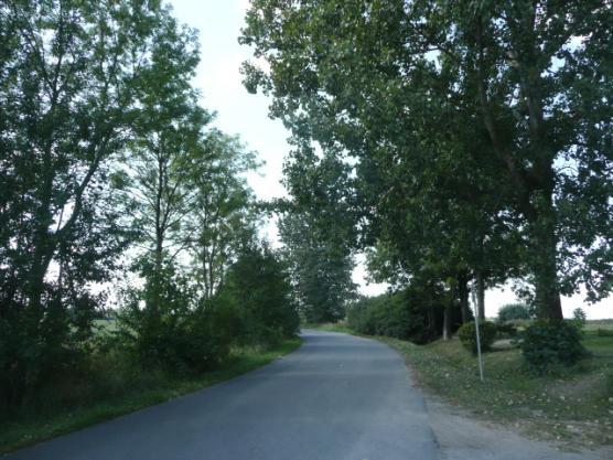 Droga nr 05 lokalizacja/ przebieg: Morany kier. Olszówka ( do W granicy gminy Dzierzgoń) Dane ogólne Zarząd drogi Nr GPS Długość/Nawierzchnia Powiatowy Zarząd Dróg p.