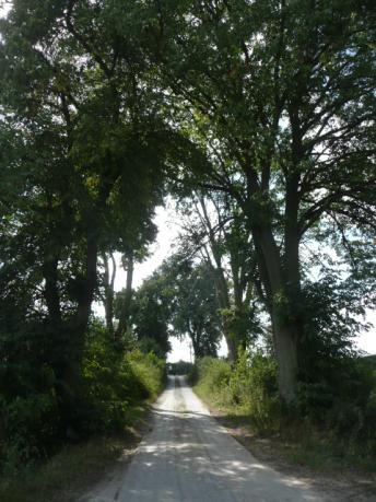 Droga nr 06 lokalizacja/ przebieg: Morany Morany Figurka Dane ogólne Zarząd drogi Gmina Dzierzgoń Nr GPS p. N 53 54 45,8 E 19 18 54,9 i k.